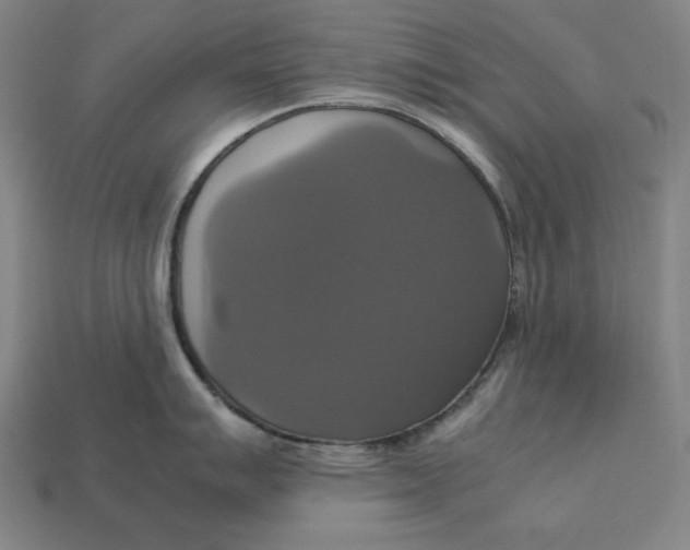 X0000113111007200909181624
