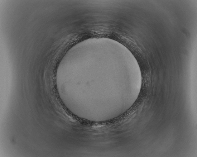 X0000113111009200909181624