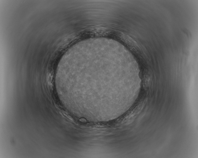 X0000113111010200909181624