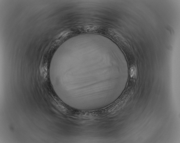 X0000113111011200909181624