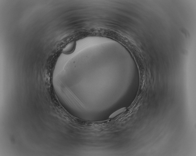X0000113111013200909181624