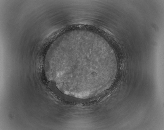 X0000113111014200909181624