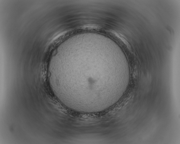X0000113111015200909181624