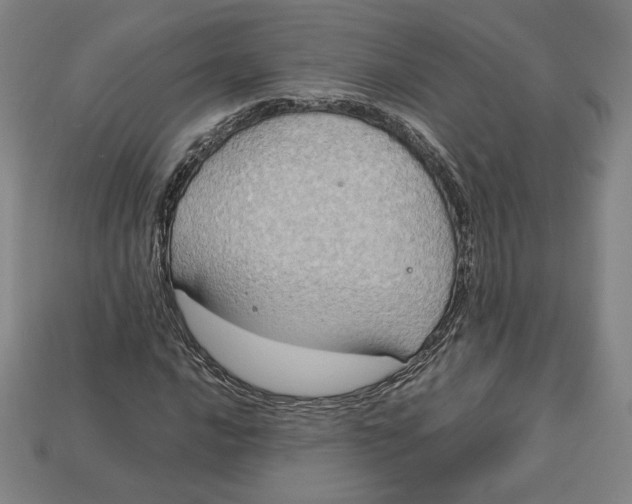 X0000113111016200909181624