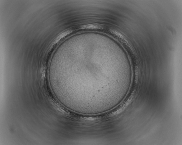 X0000113111017200909181624