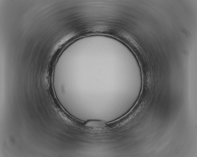 X0000113111018200909181624