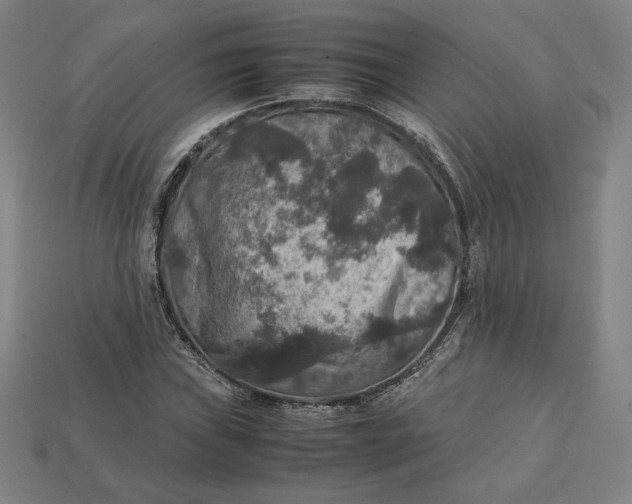 X0000113111019200909181624