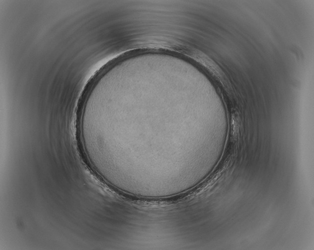 X0000113111020200909181624