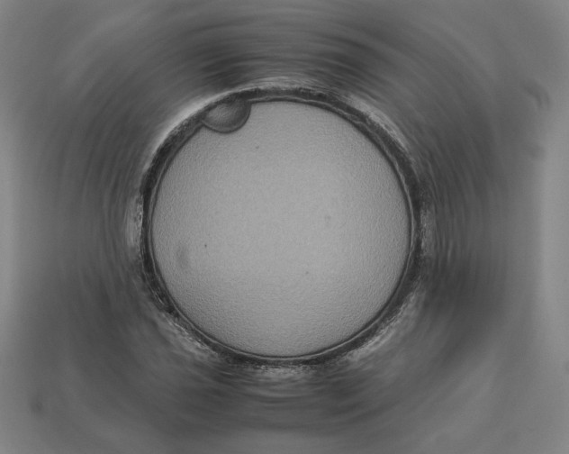 X0000113111021200909181624