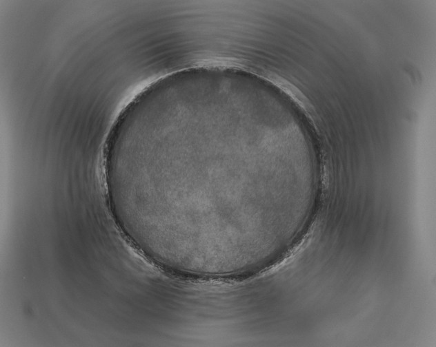 X0000113111022200909181624