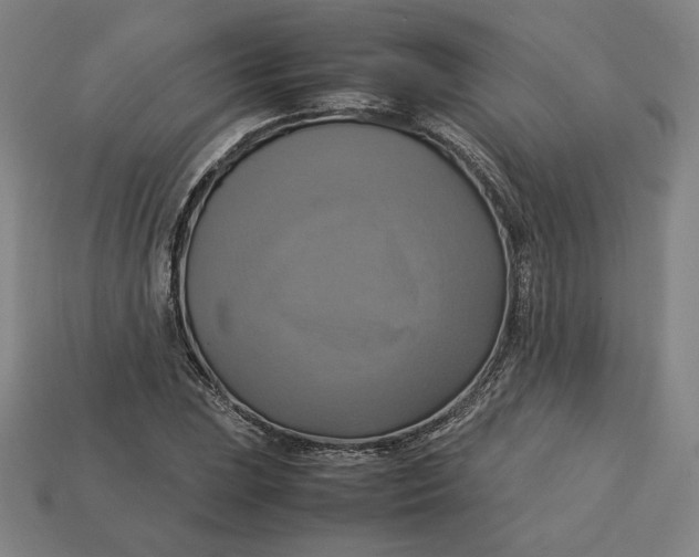 X0000113111023200909181624