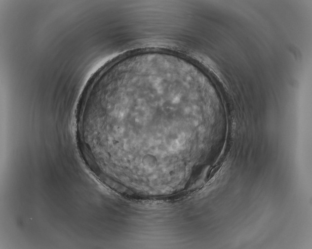 X0000113111024200909181624