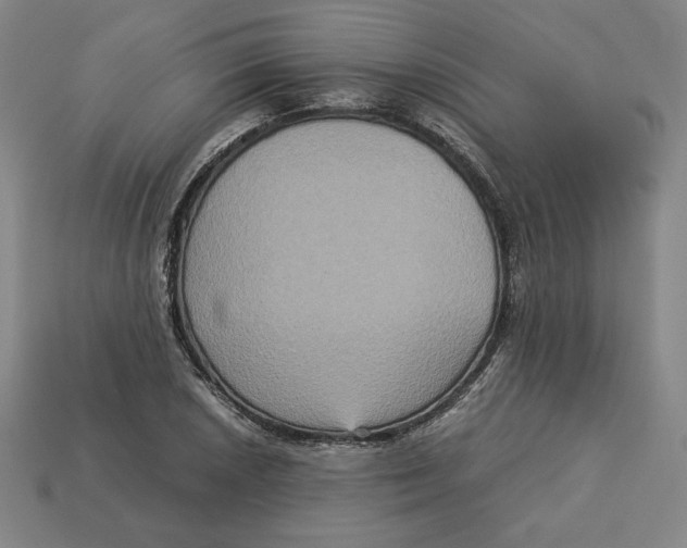 X0000113111026200909181624