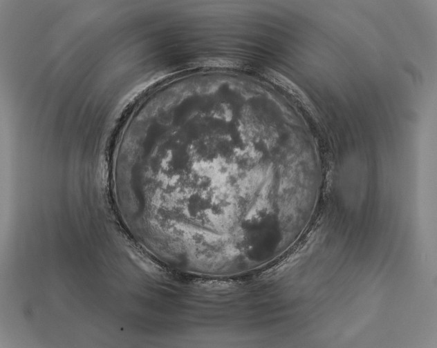X0000113111027200909181624
