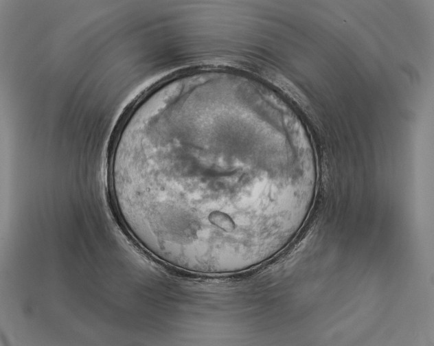 X0000113111028200909181624