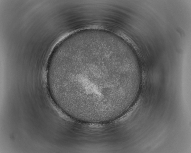 X0000113111029200909181624