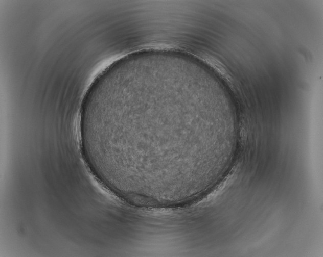 X0000113111030200909181624