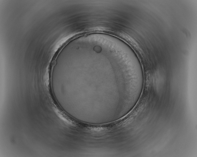 X0000113111031200909181624
