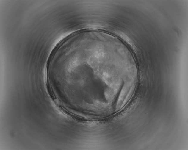 X0000113111032200909181624