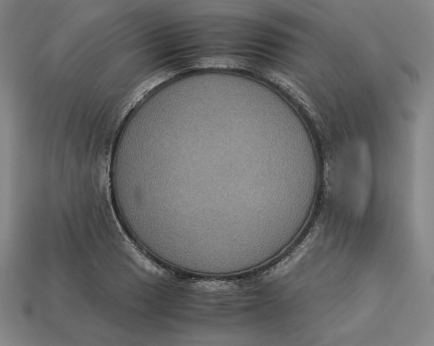 X0000113111033200909181624