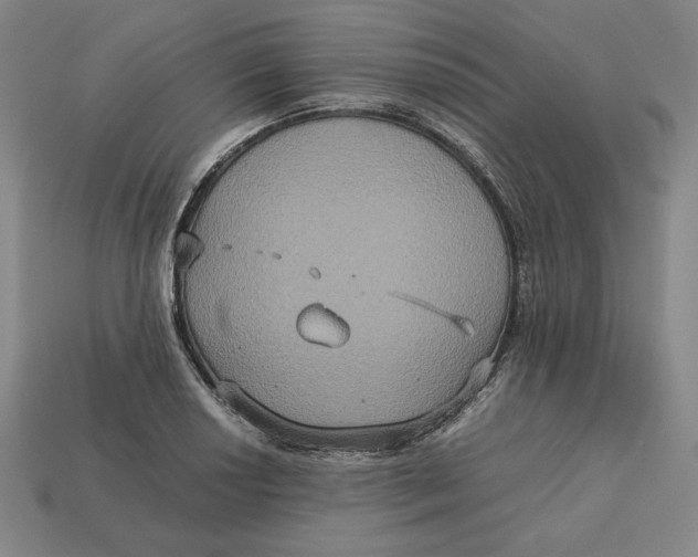 X0000113111034200909181624