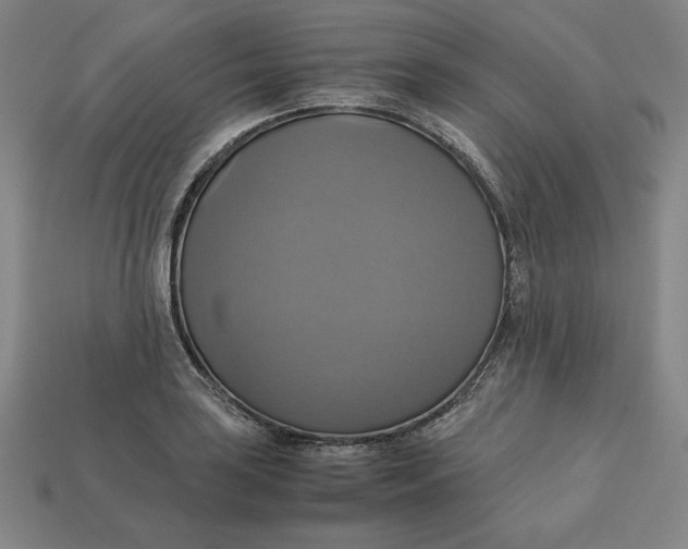 X0000113111035200909181624