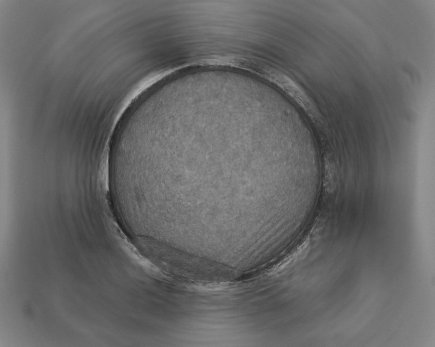 X0000113111036200909181624
