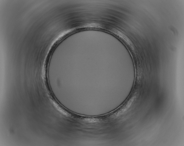 X0000113111037200909181624