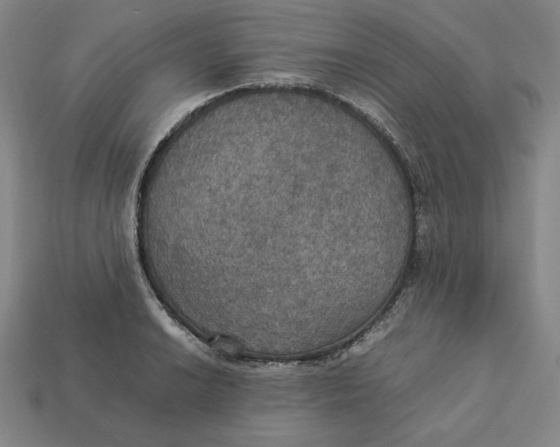 X0000113111038200909181624