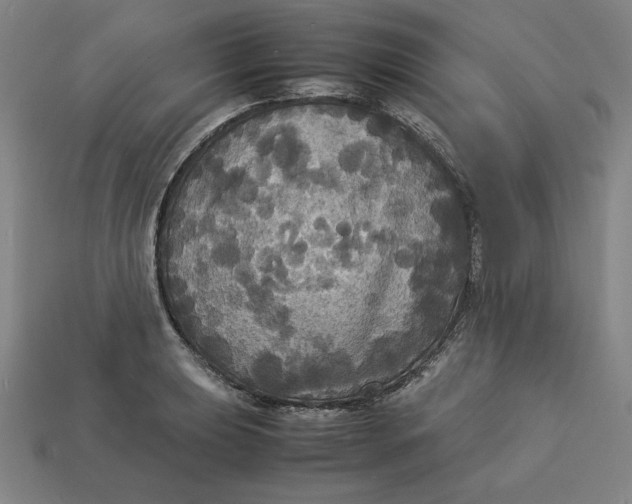X0000113111039200909181624