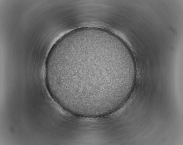 X0000113111040200909181624