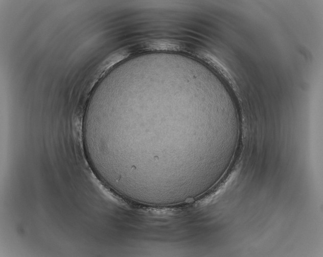 X0000113111041200909181624