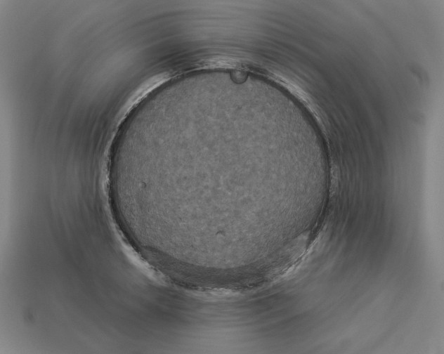 X0000113111042200909181624