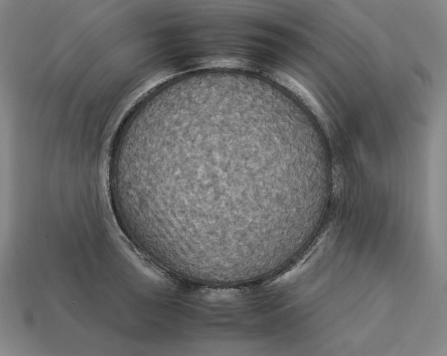 X0000113111043200909181624