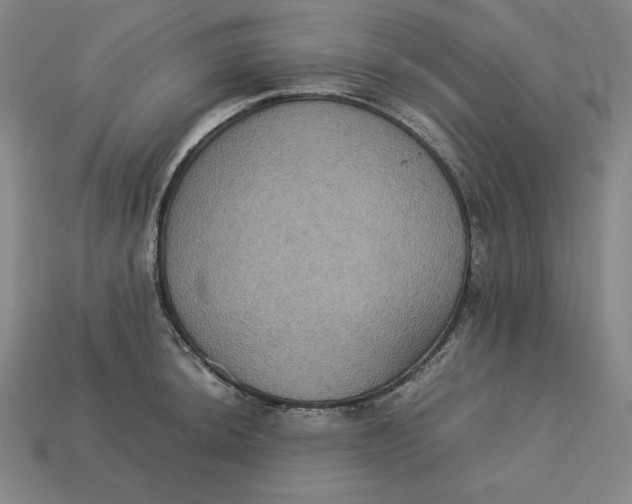 X0000113111044200909181624