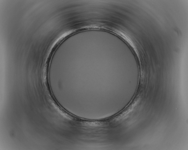 X0000113111045200909181624