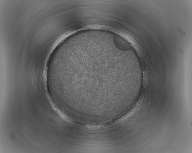 X0000113111046200909181624