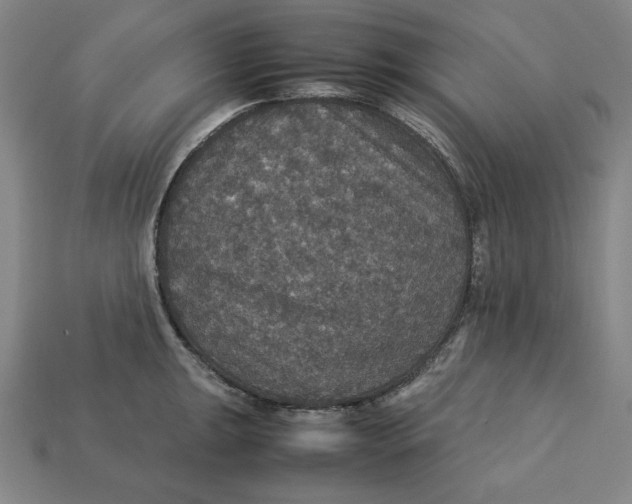 X0000113111047200909181624