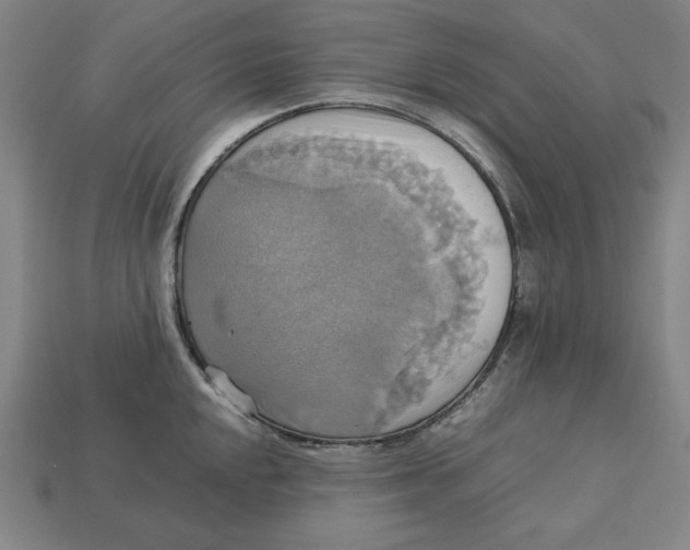 X0000113111048200909181624