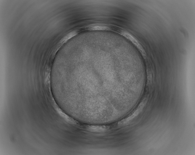 X0000113111049200909181624
