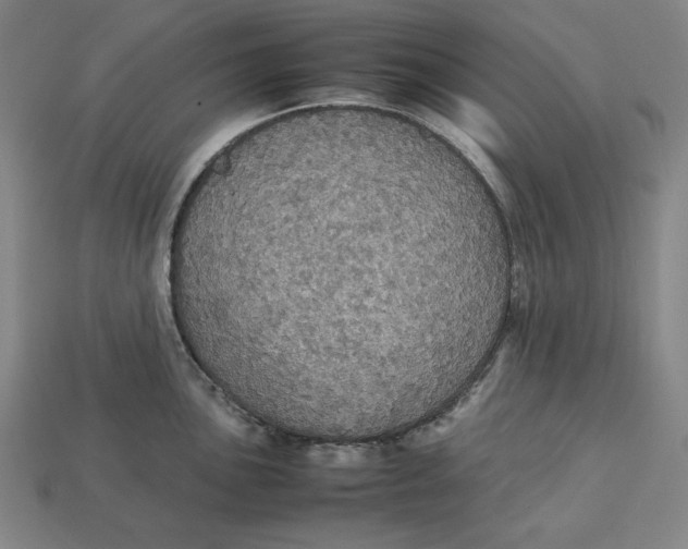 X0000113111051200909181624