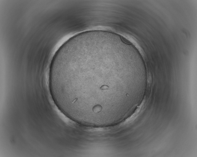 X0000113111054200909181624