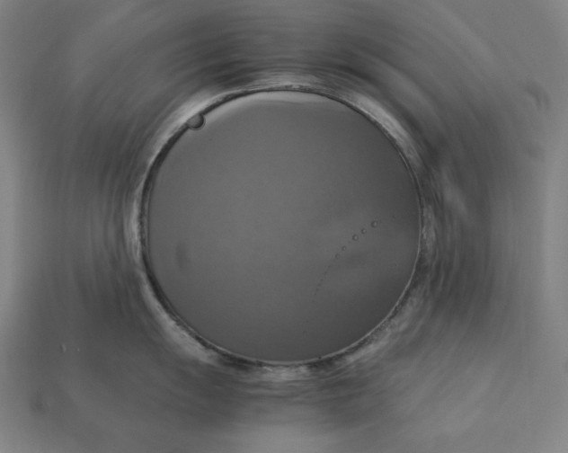 X0000113111055200909181624