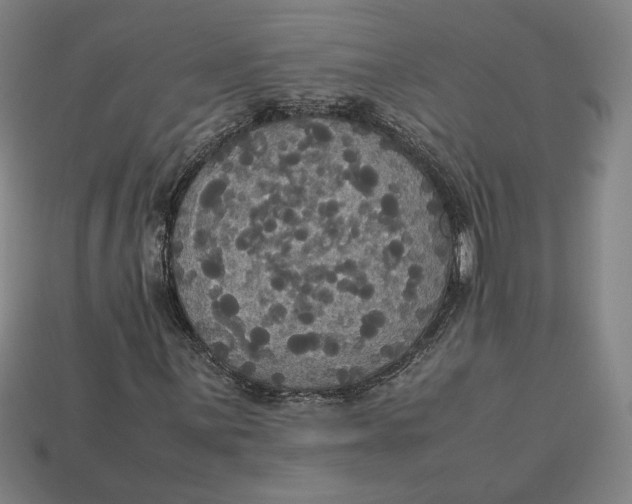 X0000113111059200909181623
