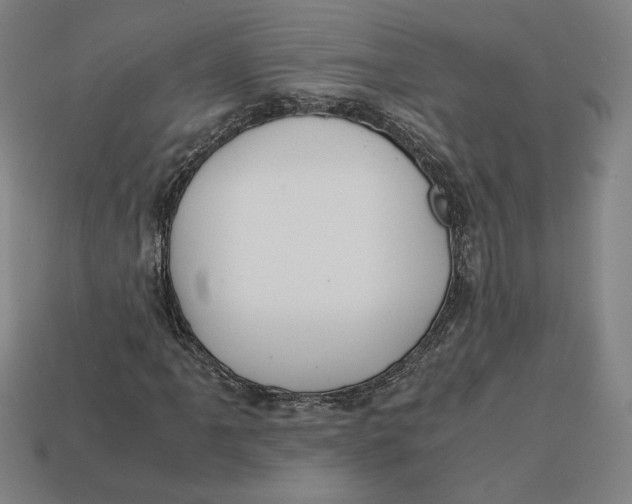 X0000113111061200909181623
