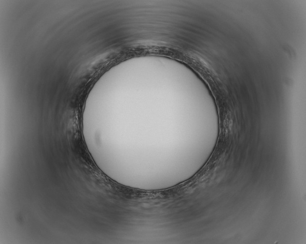X0000113111062200909181623