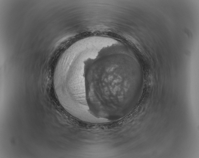 X0000113111063200909181623