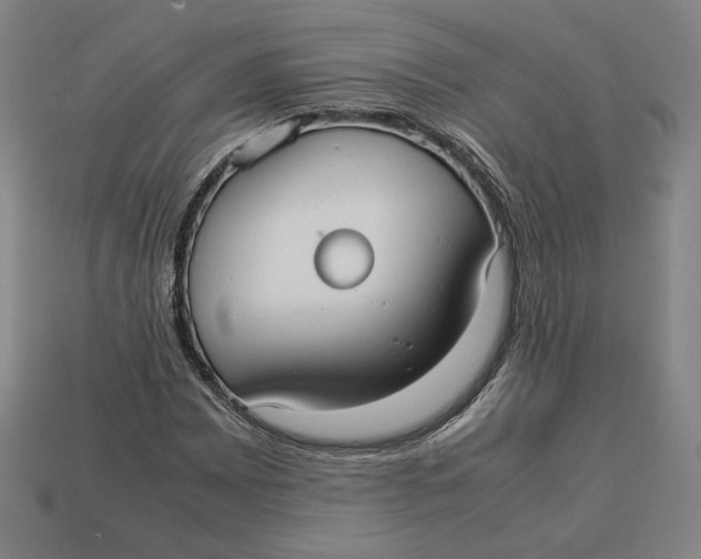 X0000113111065200909181623