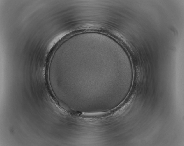 X0000113111066200909181623
