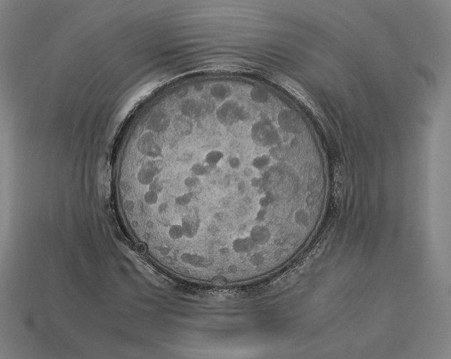 X0000113111067200909181623